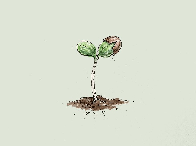 Razlito črnilo na papirju, ilustracija
